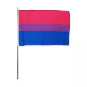 Bisexual 12" x 18" Stick Flag - Picture 1 of 1