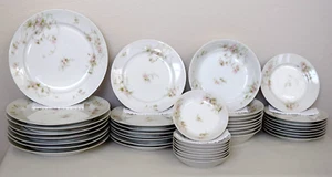 Charles F. Haviland Schleiger 377 Place Setting for 8 Signed GDA/Limoge, France - Picture 1 of 18