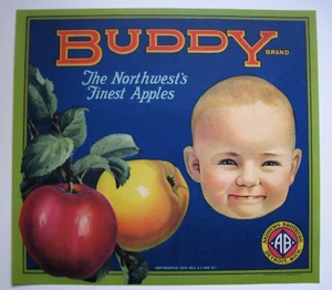 Original 20er Jahre BUDDY Apfelkiste Label Andrews Brothers Detroit MI Yakima Valley - Bild 1 von 1