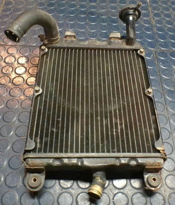 Radiador y protector Honda Goldwing GL1200A GL1200 1984 85 83-87 Foto 1 de 4