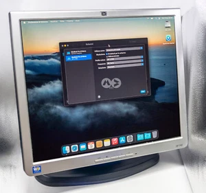 17" HP L1740 Schermo monitor computer TFT DVI + VGA 1280 x 1024 FUNZIONANTE - Afbeelding 1 van 8