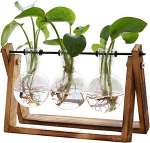 Plant Terrarium with Wooden Stand Air Planter Bulb Glass Vase Metal Swivel - Picture 1 of 6