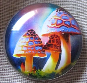 GLASS DOME PIC BUTTON 3 TALL "TRIANGLE" BLUE SPOTTED MUSHROOMS - Picture 1 of 3