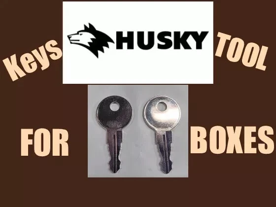 HUSKY 010 REPLACEMENT KEY SET OF 2 HUSKY TOOL BOX KEYS FREE SHIPPING - Image 1 of 1