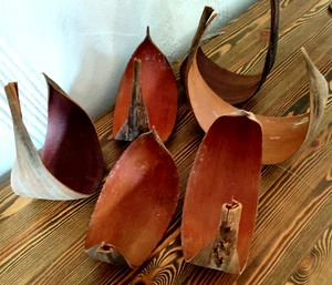 Natur Kokosblatt 30-40 cm gebogen Palmen Blatt Kokoschale zum basten Dekoschale - Bild 1 von 4