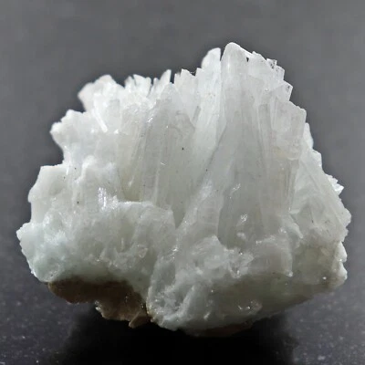 Mineral Specimen: White to Light Blue Celestite from Ohio, USA (CEL52) - Image 1 of 4