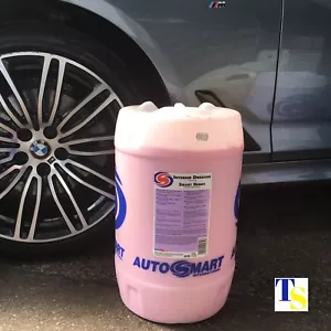 Autosmart Medicazione Interni (ROSA) 25 Litri 25L (Rivestimento Auto Cruscotto Naturale COMMERCIO) - Foto 1 di 2