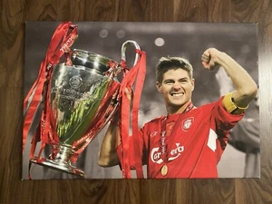 Liverpool FC: Lienzo Firmado Steven Gerrard 2005 Champions League Final Estambul - Imagen 1 de 8