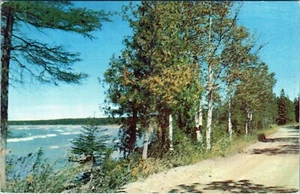 Postal Trail's End Drive Michigan P6592 sin publicar - Imagen 1 de 2