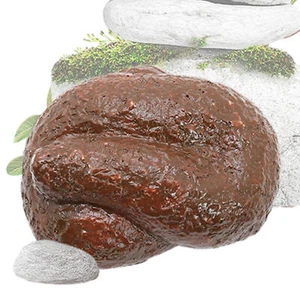 Spare Key Hider Resin Poop Shape Key Holder for Spare Keys Weatherproof Key Box - Picture 1 of 12