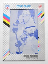 2013-14 KHL Gold Collection Printing Plate #LOK-C04 VITALY VISHNEVSKY 1/1