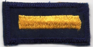Vintage Cub Scouts Assistant Denner Patch Blue Gold 1960s 2 Inch Unused BSA - Picture 1 of 2