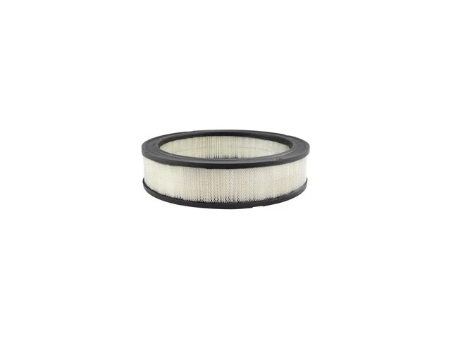 Filtro de aire para 1972, 1974-1979, 1983-1985 Mercury Cougar Baldwin 23516JZTS 1975 Foto 1 de 2