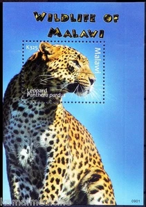 Malawi 2009 MNH SS, leopardo, animales salvajes - Imagen 1 de 1