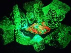 1 Pound+ Lot of SW UV Fluorescent + Phosphorescent Willemite Franklin New Jersey