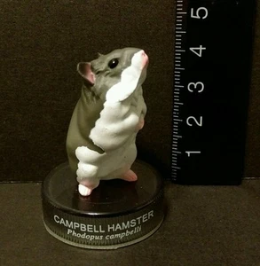 Kaiyodo Hamster's Lunch Part 1 Campbell Hamster Figure B Cute!! - Picture 1 of 1