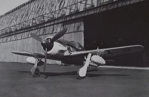 1974 Focke Wulf Fw 190 A-5 Luftwaffe WWII Fighter Aircraft Photographic Plate - Picture 1 of 3