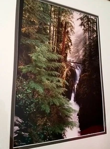 Waterfall Forest 18x22 Photo Print/Picture Framed Wall Decoration - Picture 1 of 3