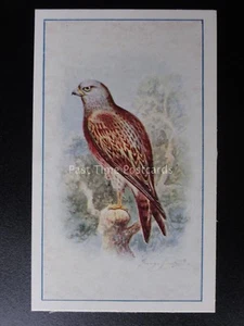 No.19 KITE - Birds (Series of 25) by P.J. Carroll & Co 1939 - Picture 1 of 1