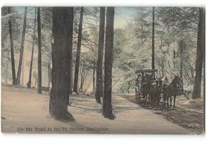 Road to St. Helena Sanitarium, Napa County CA 1913 Hand-Colored Antique Postcard - Picture 1 of 2
