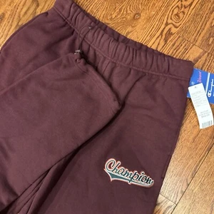 NWT Champion Reverse Weave Team Burgundy Sweatpants Men’s Medium Embroidered - Picture 1 of 10