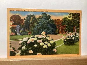 Silver Lake Drive: Rehoboth Beach, DE - Vintage Postcard - Picture 1 of 3
