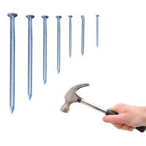 240 PCS Galvanized Nail Nails Fasteners Nails Hanging Pictures - Picture 1 of 12