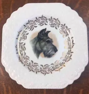 Plato Terrier Escocés Porcelana Inglaterra Cerámica Lord Nelson De Colección Perro Scotty - Imagen 1 de 6