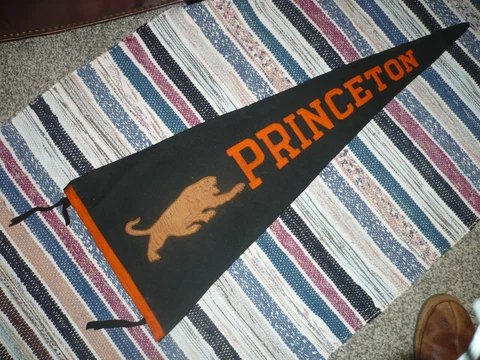 Princeton Tigers Pennant, 13 x 34" Cover