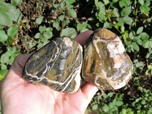 PAIR of BEAUTIFUL & UNUSUAL Oregon BANDED Rhyolite Stone Nodules (14.9oz total) - Picture 1 of 24