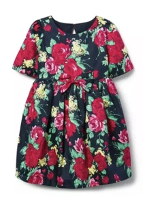 Janie & Jack Printed Open Back Easter Holiday Dress Special occasion Size 5 Bow - Picture 1 of 12