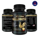 ?? Vitaminas Completa Para Gallos ???? Gallobiotic 100 Tabletas For Rooster??