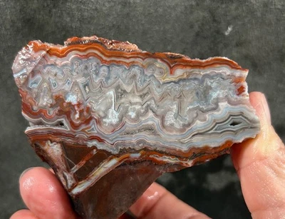 Laguna Lace Agate Faced Rough - Mexico! - Image 1 of 4