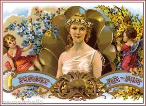 Póster artístico etiqueta caja cigarros vintage Forget Me-Not Beautiful Woman  - Imagen 1 de 1