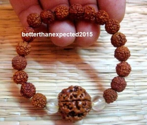 4 Mukhi Rudraksha Four Face Rudraksh 18-20 mm NEPAL beads Bracelet wrist band - Picture 1 of 3