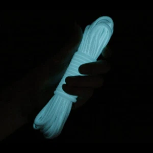 Luminous Paracord Cord Lanyard 9 Cores Outdoor Survival Glow In The Dark Par REL - Picture 1 of 9