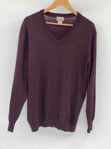 L.L. Suéter Bean Cuello en V Hombres XL Granate Rojo Lana Merino Manga Larga Pullover - Imagen 1 de 11