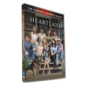 New Heartland Season 16 4DVD