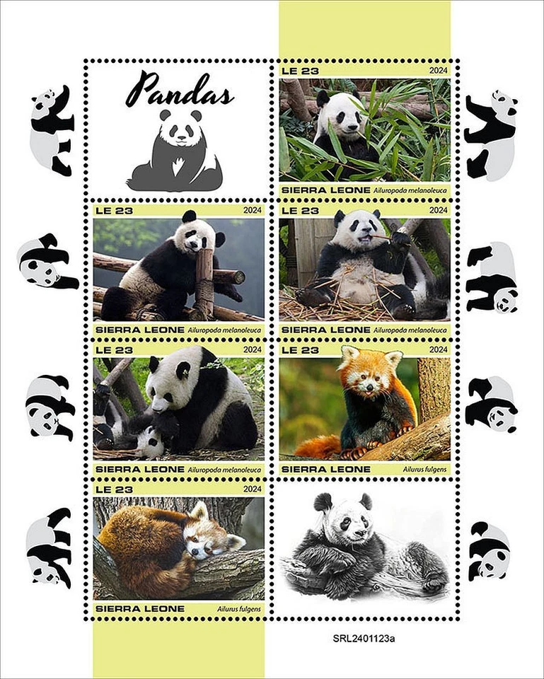 PANDAS Giant & Red Panda Bears Animals MNH 6v-Stamp Sheet 55 (2024 Sierra Leone) - Image 1 of 1