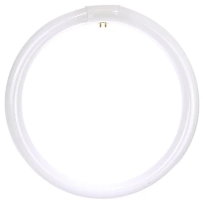 SUNLITE FC12T9/DL 32W 12 inch T9 Daylight Circline 4-Pin Light Bulb - Image 1 of 2