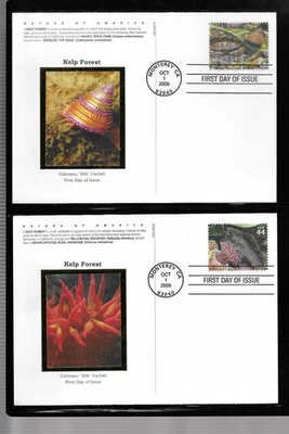 USA SC # UX587-UX596 Kelp Forrest  FDC . Colorano Silk Cachet - Image 1 of 4