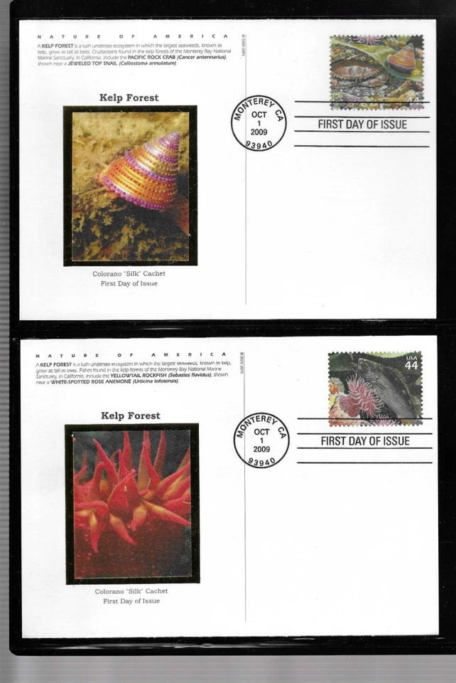 USA SC # UX587-UX596 Kelp Forrest  FDC . Colorano Silk Cachet - Image 1 of 4