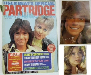 Tiger Beat's Official PARTRIDGE FAMILY Magazine DAVID CASSIDY Feb 1972 SUSAN DEY - Picture 1 of 17