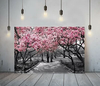 FLORAL BLOSSOM 6 -DEEP FRAMED CANVAS WALL ART PICTURE PAPER PRINT- PINK BLACK - Image 1 of 4