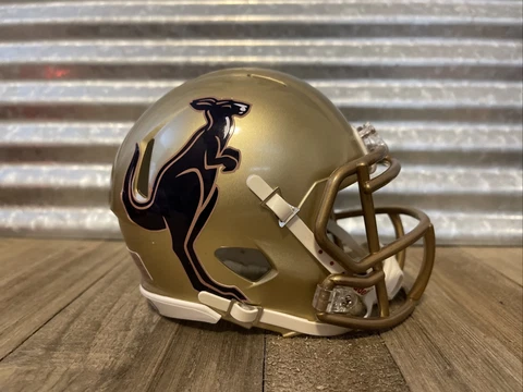 Custom Akron Zips (Fear The Roo) Speed Mini Helmet Cover