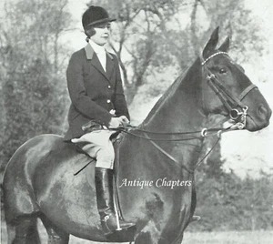 Lady Moira Forbes Joint-Master County Longford Harriers 1930 Photo Article L81 - Picture 1 of 2
