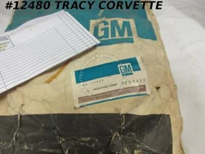 1961-1962 Corvette Door Main Weatherstrip LH GM# 3784449 includes Push pins NOS - Bild 1 von 2