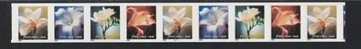 SCOTT#3462-3465, 34c FLOWERS, NO DENOMINATION. PNC9, PLT.# B1111. - Image 1 of 2