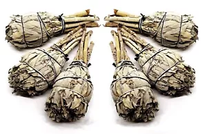 6 x Californian White Sage Smudge Cleansing Sage 4" Ethical Sourced Bundle Sage - Picture 1 of 15