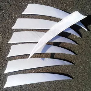 3" 4" 5" Archery Arrow Feather Natural Fletching Turkey Fletches Bow Arrow White - Picture 1 of 13